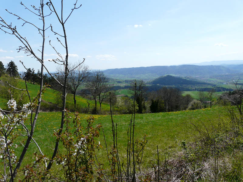 P1000840