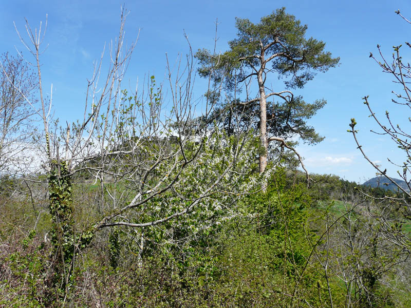 P1000845
