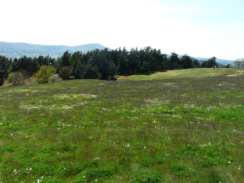 P1000848