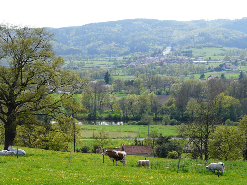 P1000860