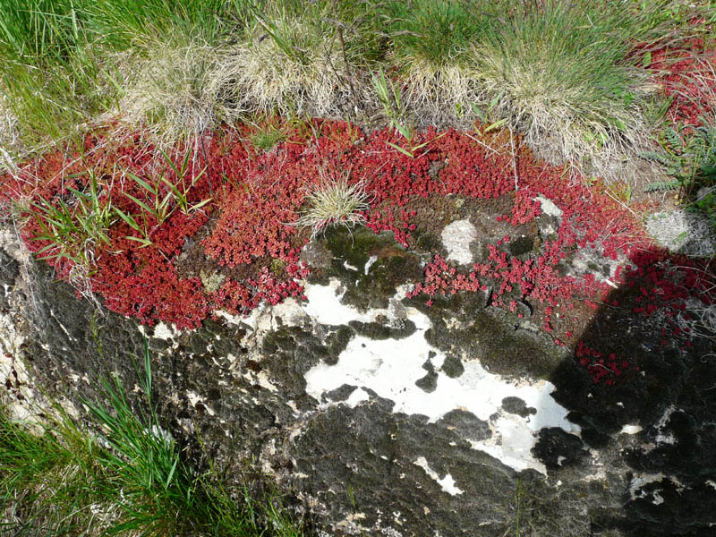 P1000861