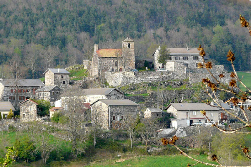 P1000878