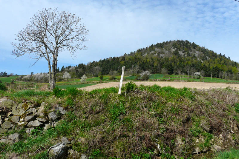 P1000885