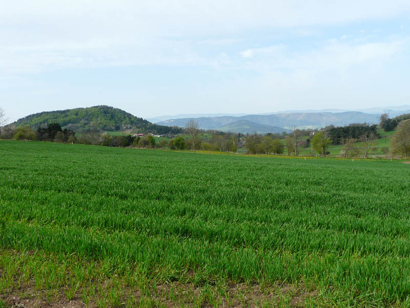 P1000890