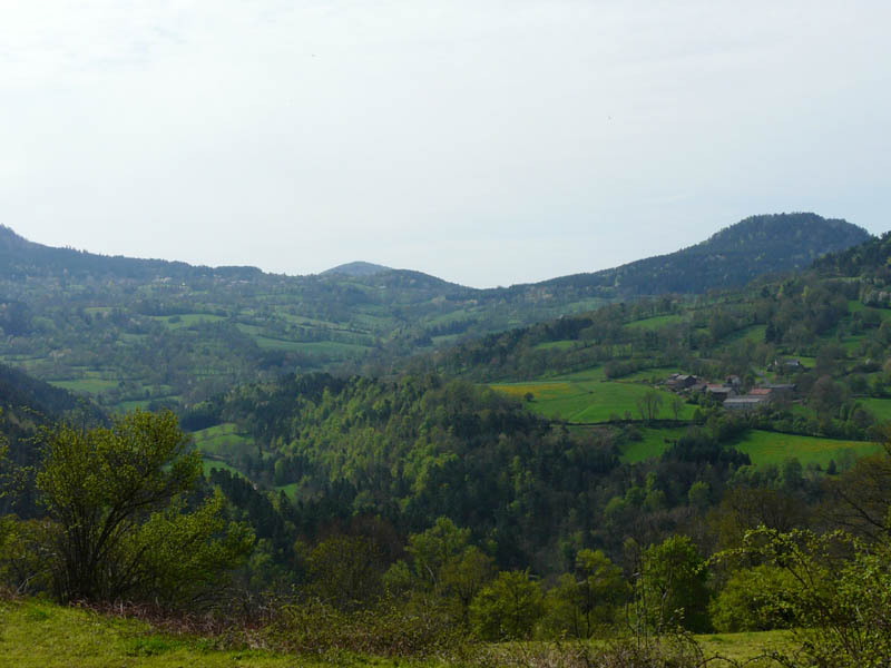 P1000894
