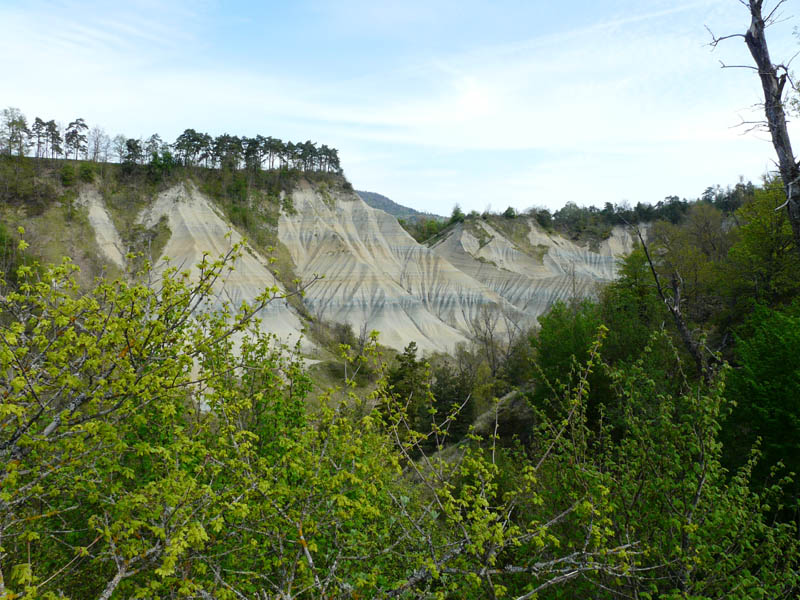 P1000907