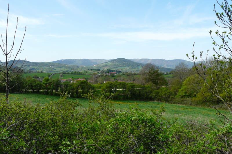 P1000908