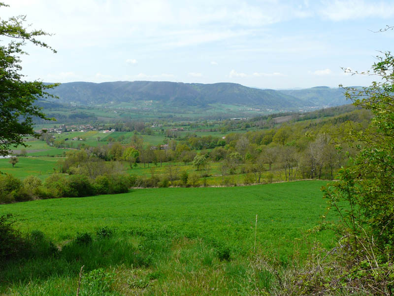 P1000922