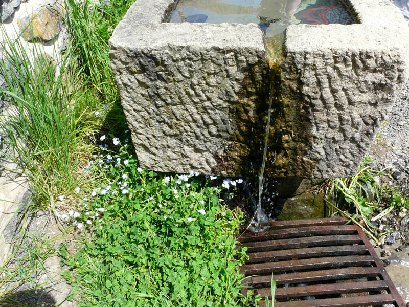 P1000933
