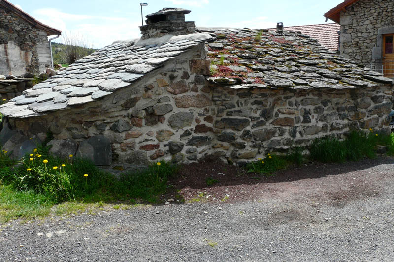 P1000934