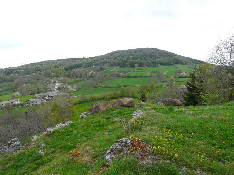 P1000940