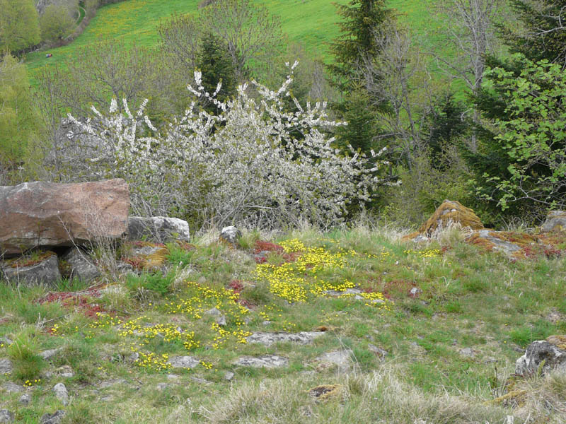 P1000941