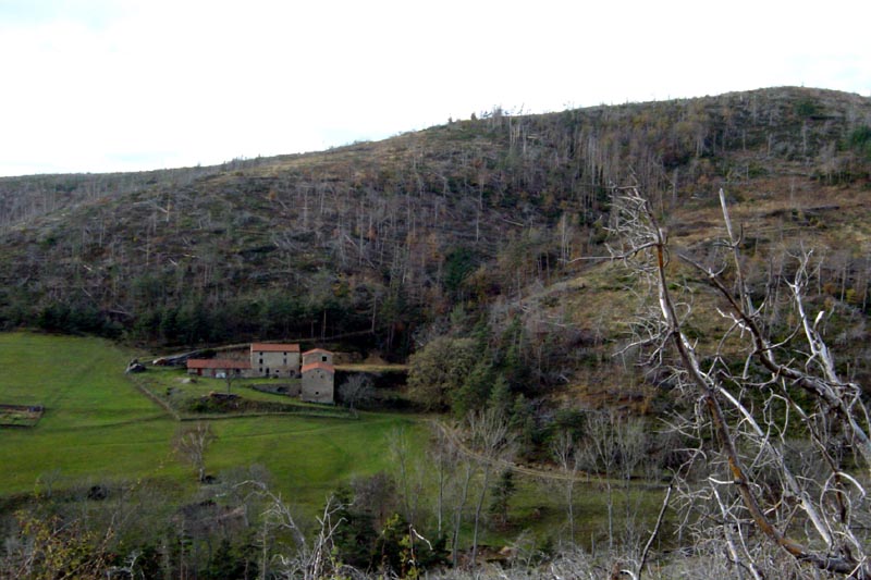 DSC06212