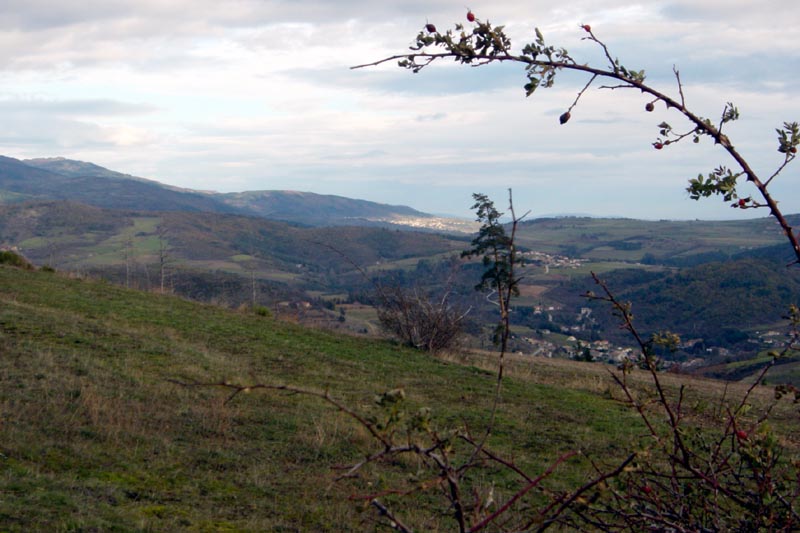 DSC06220