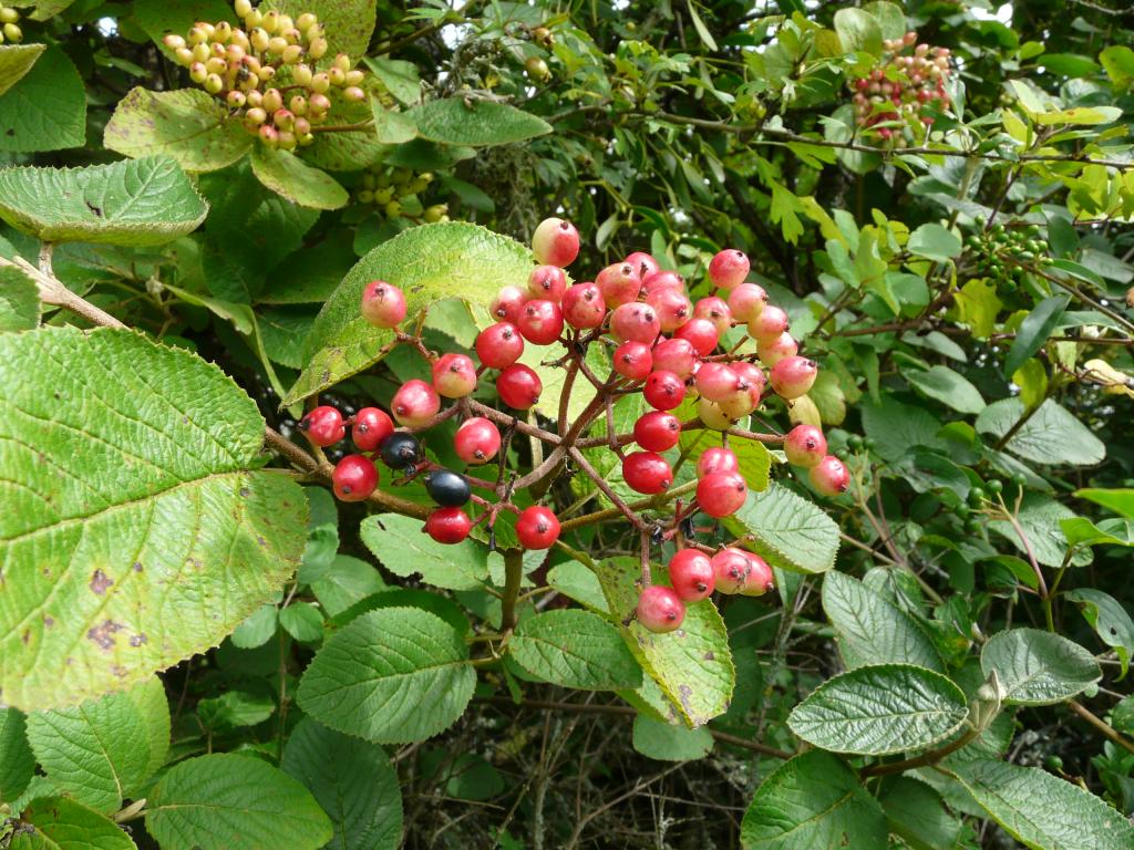 P1050301.jpg