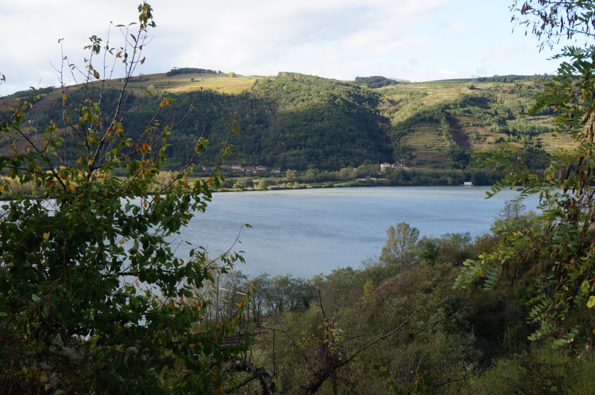 DSC02503.jpg