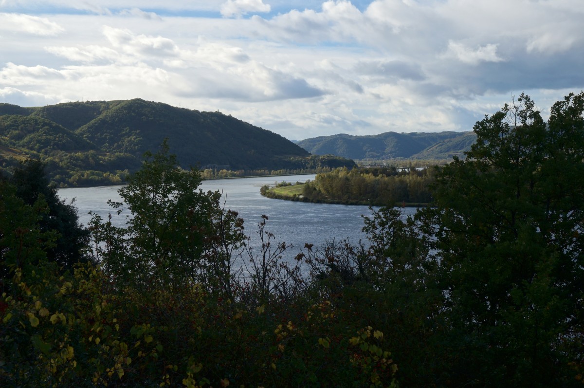 DSC02506.jpg