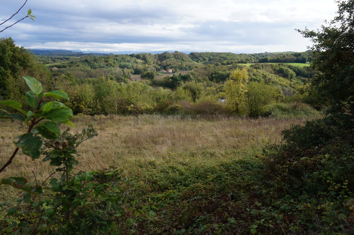 DSC02515.jpg