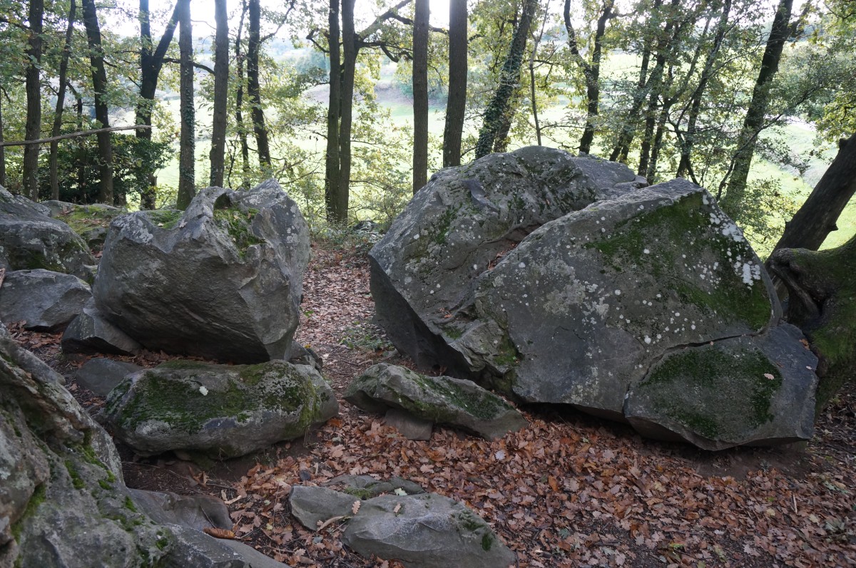DSC02526.jpg