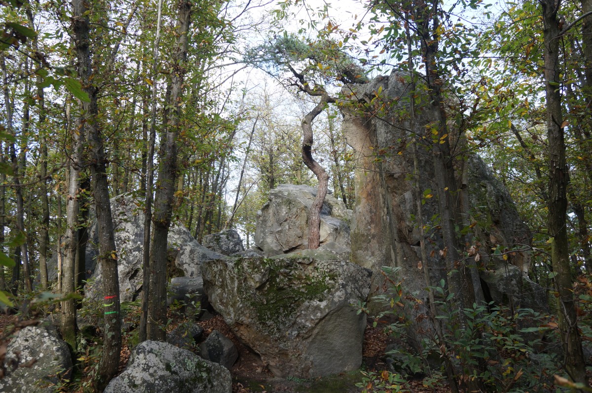 DSC02532.jpg
