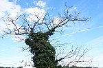 DSC02523.jpg DSC02523.jpg