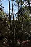 DSC02530.jpg DSC02530.jpg