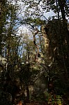 DSC02535.jpg DSC02535.jpg