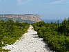 Cassis, 30-05-08, 16-45.jpg Cassis, 30-05-08, 16-45.jpg