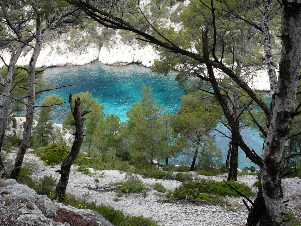 Cassis, 29-05-08, 11-47.jpg