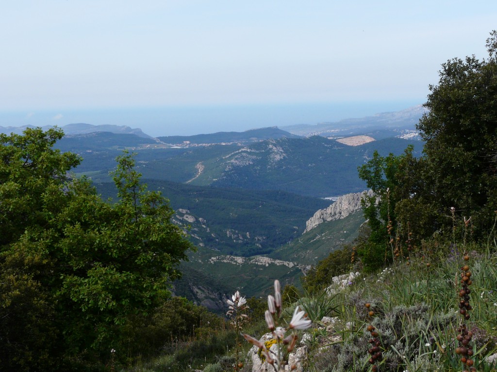Sainte Beaume, 28-05-08, 09-45.jpg