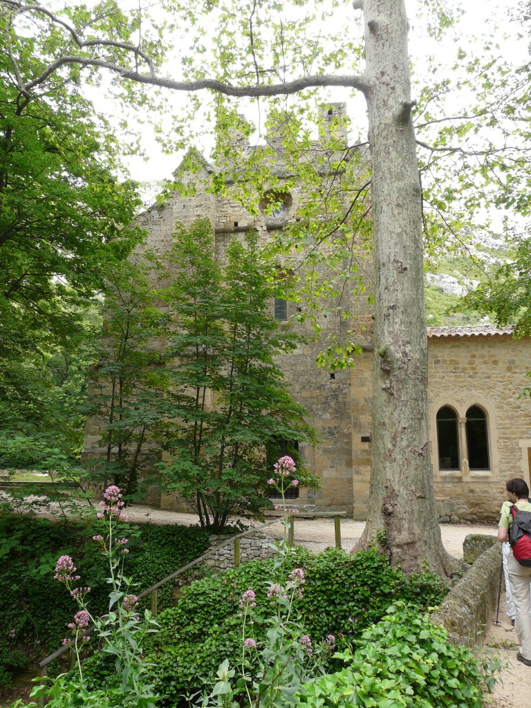 Sainte Beaume, 28-05-08, 12-17.jpg