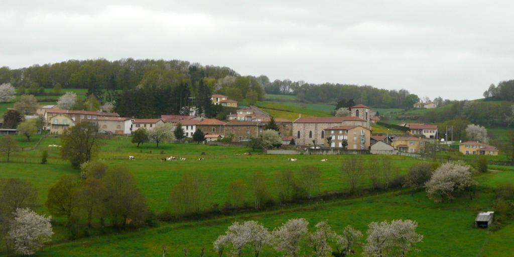 P1060382.jpg
