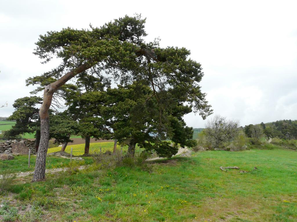 P1060400.jpg