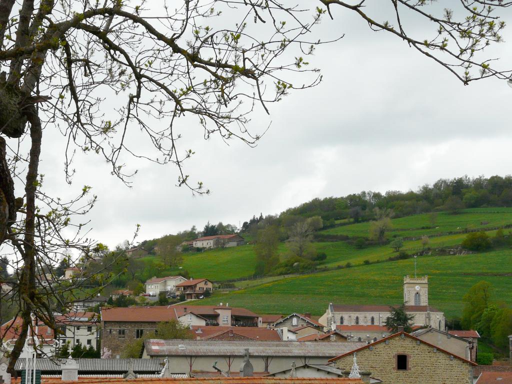 P1060407.jpg