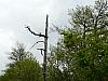 P1060402.jpg