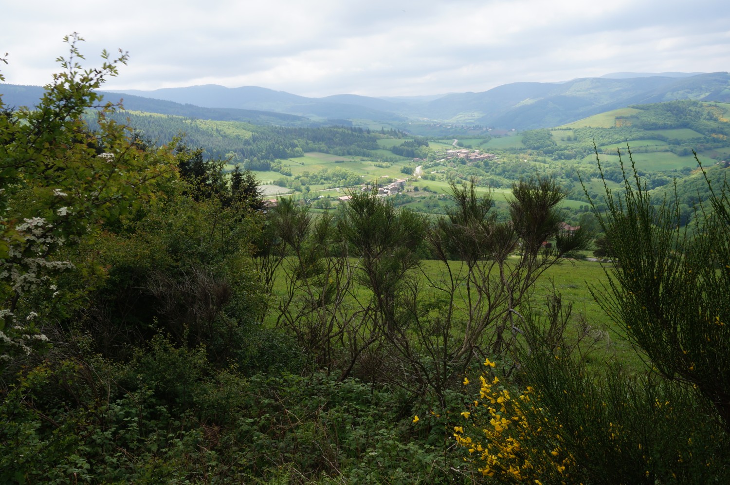 DSC00916.jpg