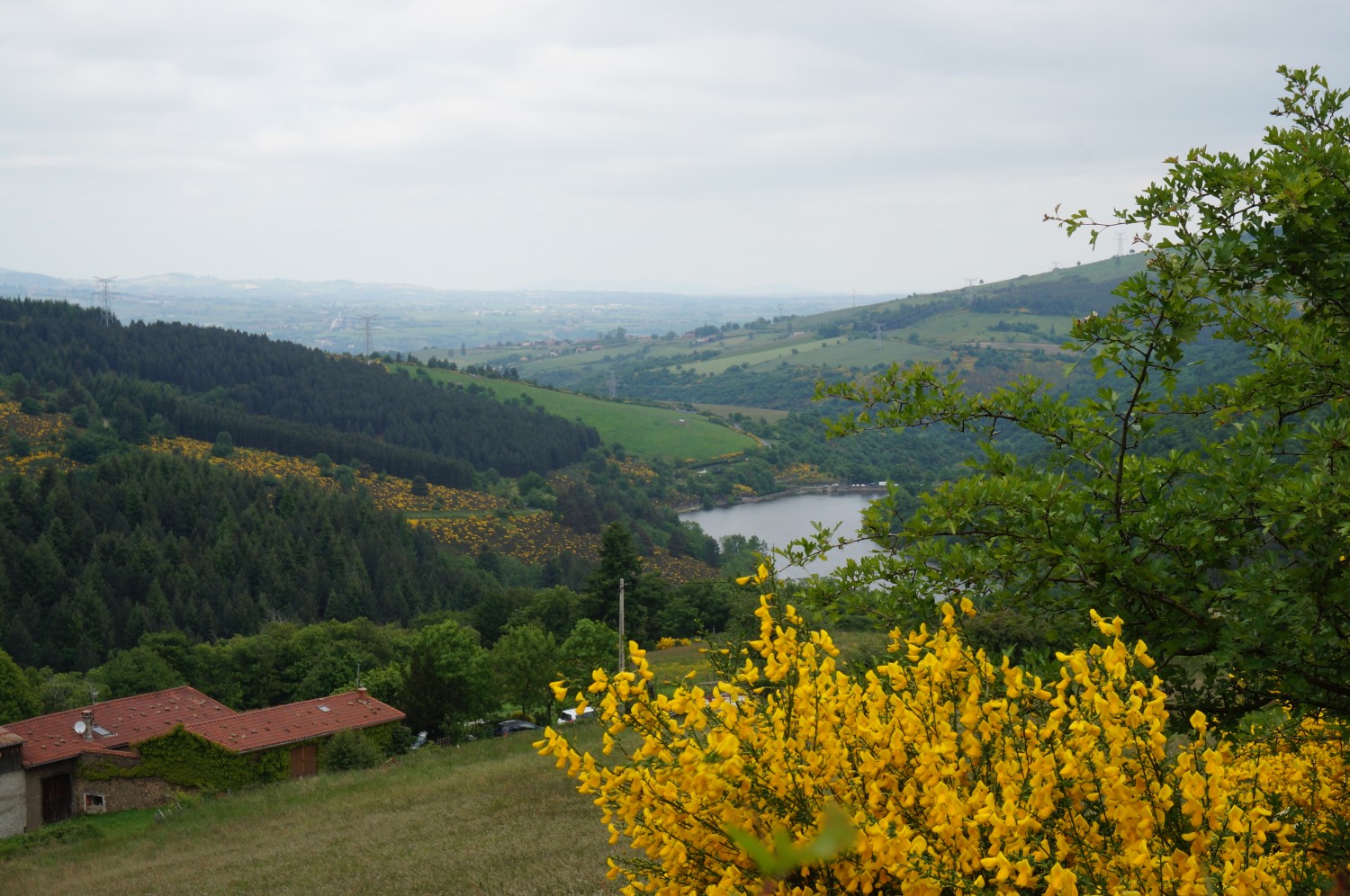 DSC00928.jpg