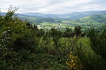 DSC00916.jpg