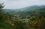 DSC00918.jpg