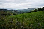 DSC00923.jpg