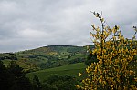 DSC00930.jpg