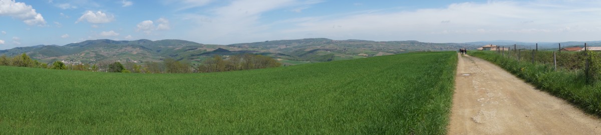 DSC00828.jpg
