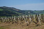 DSC00799.jpg