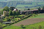 DSC00804.jpg