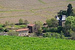 DSC00805.jpg