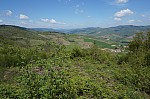 DSC00823.jpg