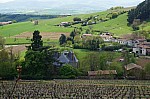 DSC00825.jpg