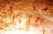 tn14-1000n