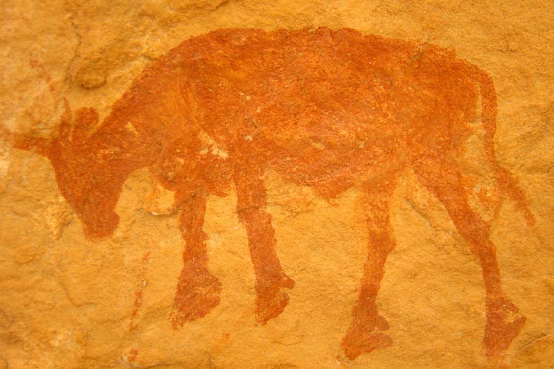 tn17-1435
