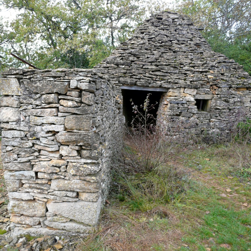 P1140615.jpg